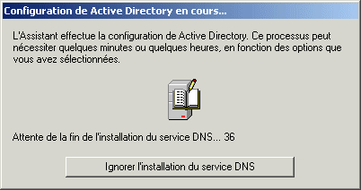 ADS15-ConfigurationEnCoursDNS01.gif (7556 octets)
